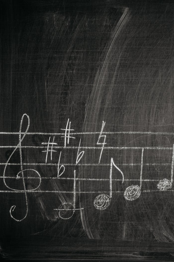 Close-up of chalkboard with music notation, ideal for education themes.
